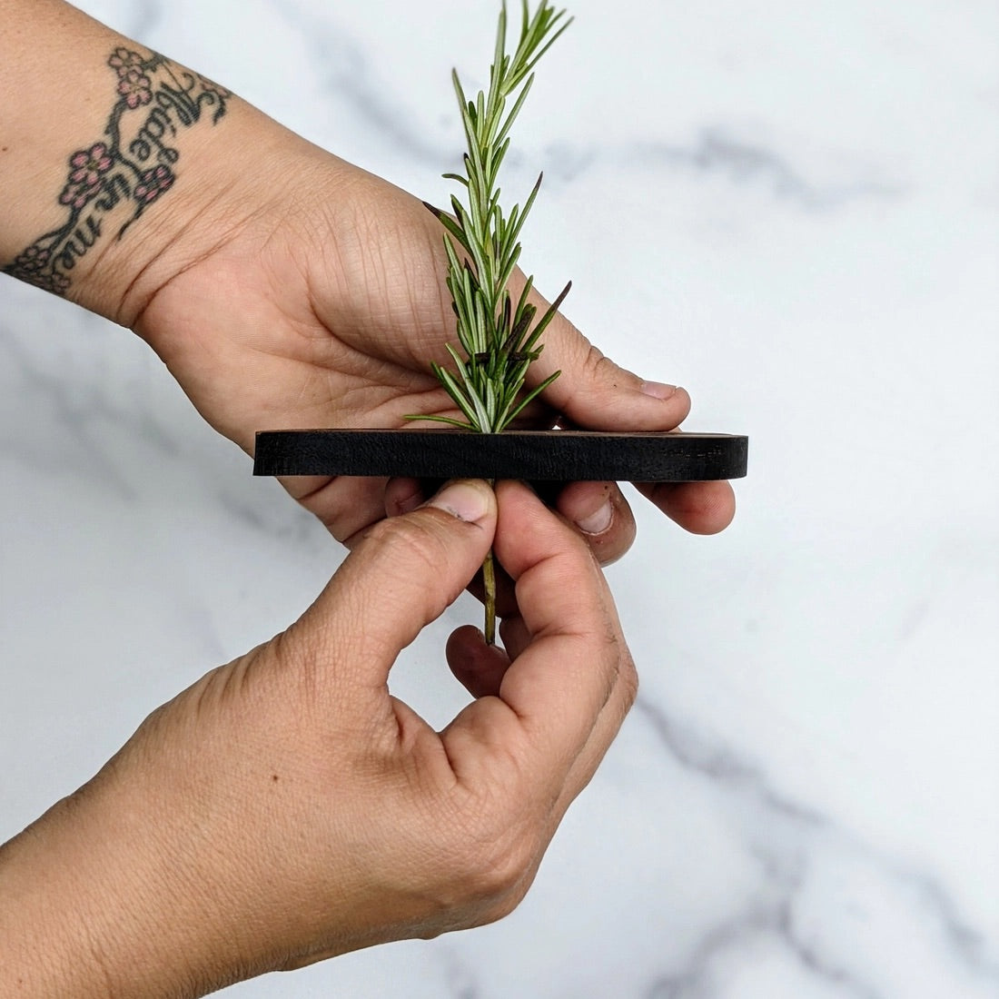 Best Deal for Herb Stripper Kitchen Herb Stripping Tool, Leafy