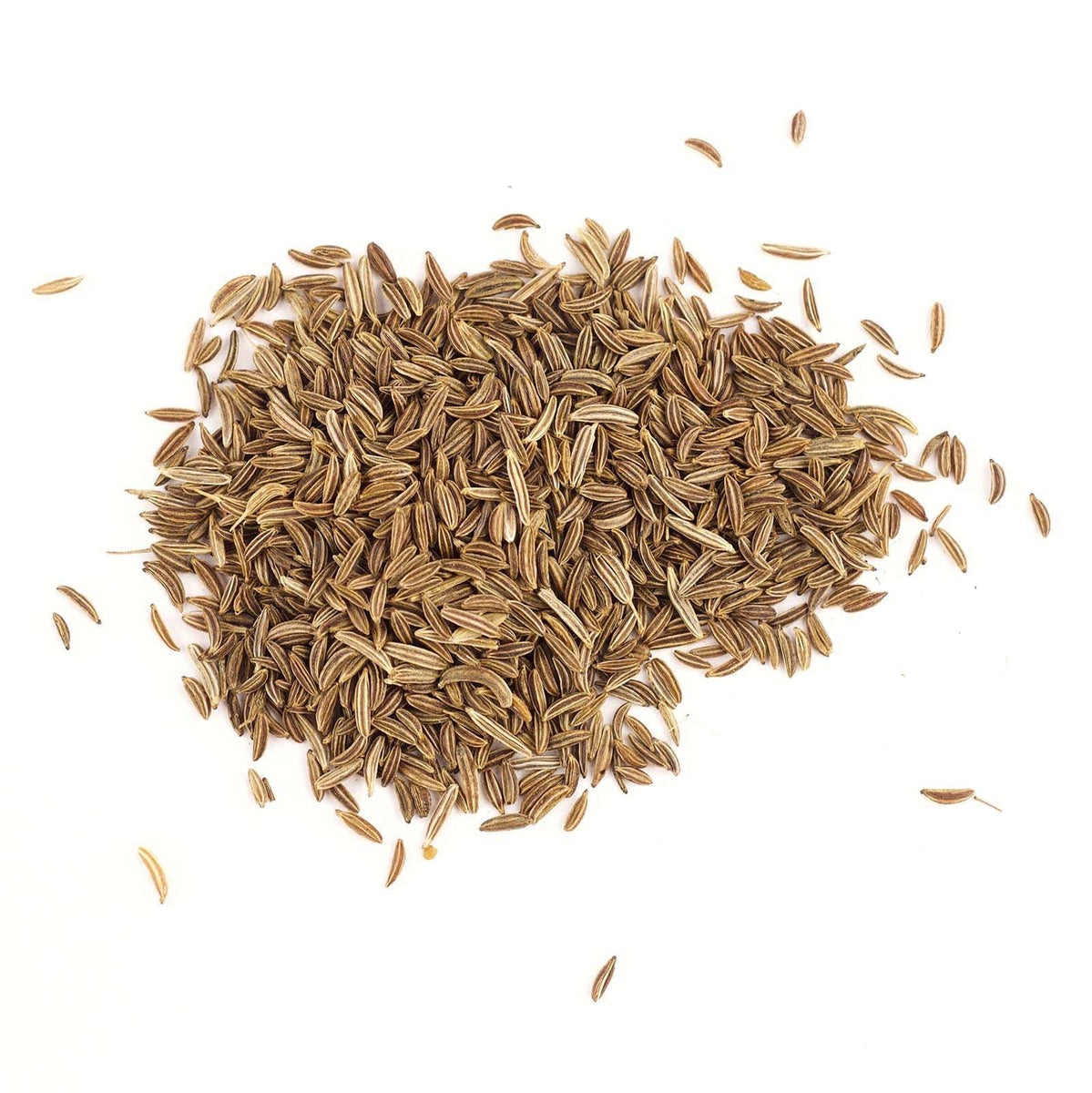 Caraway Seed - Whole (Carum Carvi) (4 Oz Australia