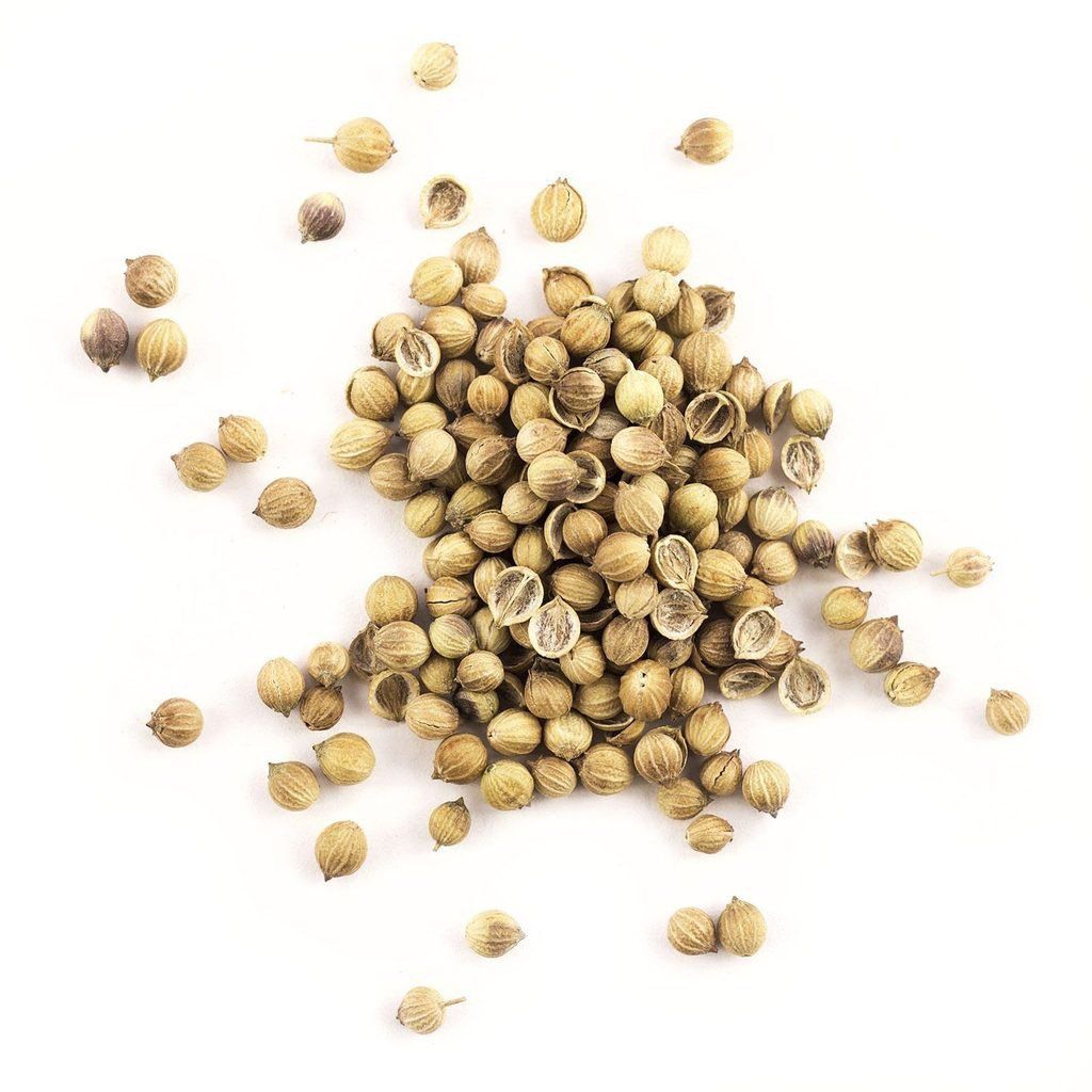 Coriander Seed (Whole) - Gneiss Spice