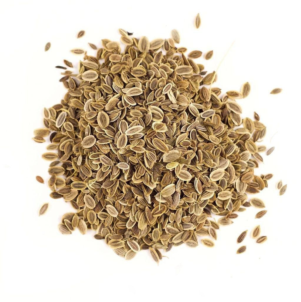 Dill Seed (Whole) - Gneiss Spice