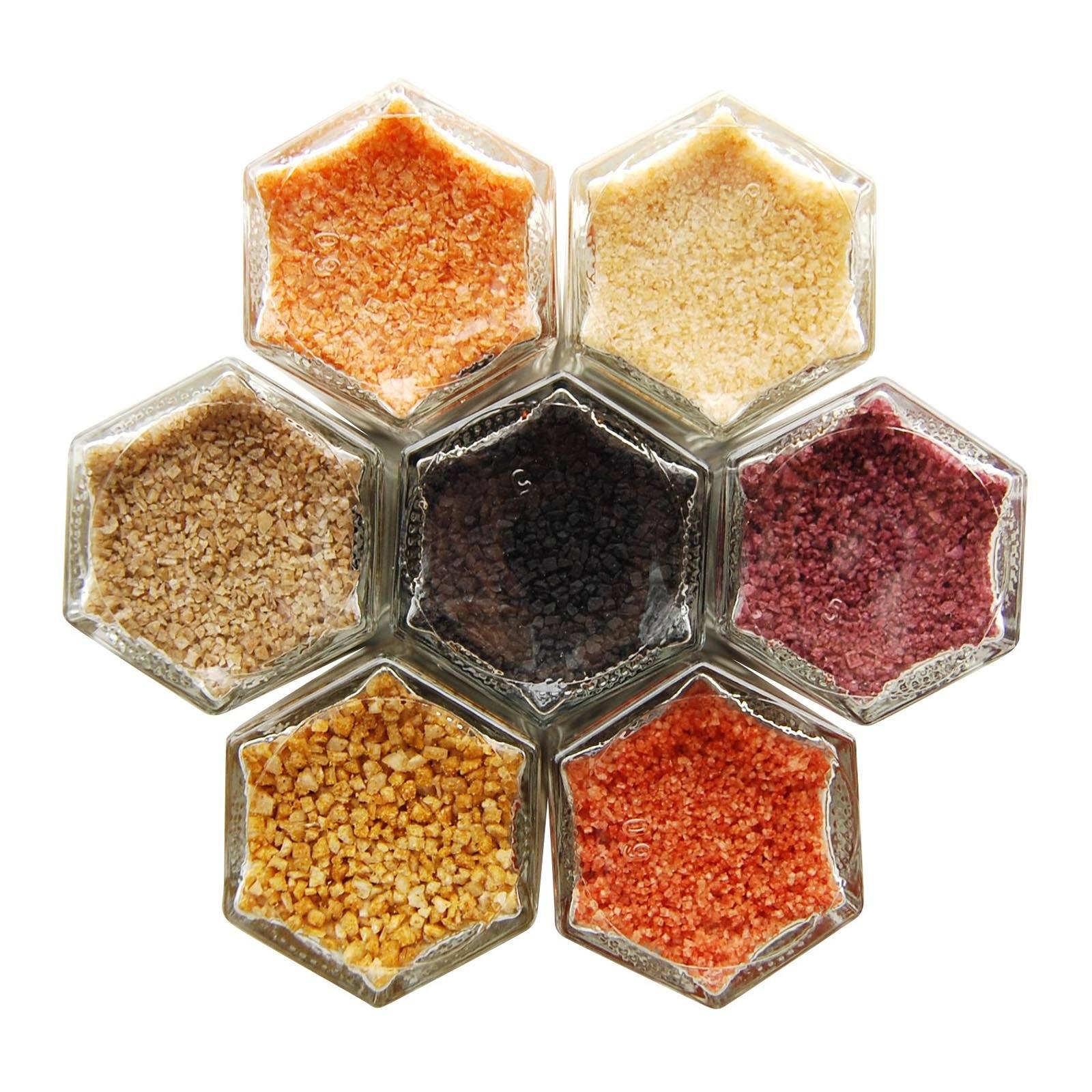 https://gneissspice.com/cdn/shop/products/fusion-salts-7-gourmet-infused-salts-in-magnetic-jars-1.jpg?v=1545383811