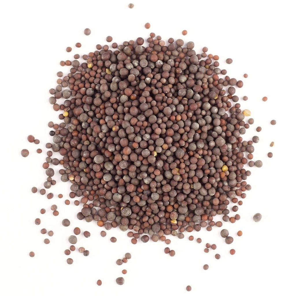 Mustard Seed Brown (Whole) - Gneiss Spice