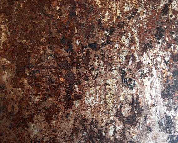 One-of-a-Kind Rusted Wall Plate for Spice Storage - Jars Not Included - Gneiss Spice